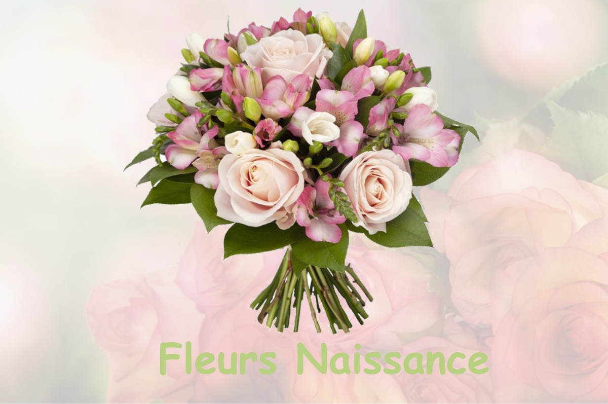 fleurs naissance POURU-AUX-BOIS