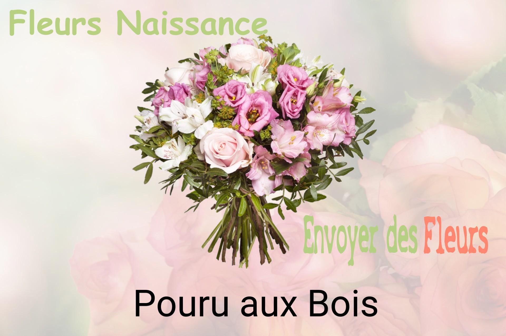 Bouquet de fleurs de naissance livré à Pouru-aux-Bois